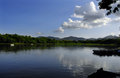 _DSC0039.jpg