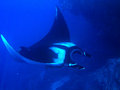 IMG_8805.jpg