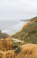 IMG_0008-01.jpg
