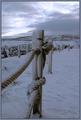 Frozen Post (#9600)