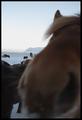 Hold your horses - Don't eat my camera (#2458)