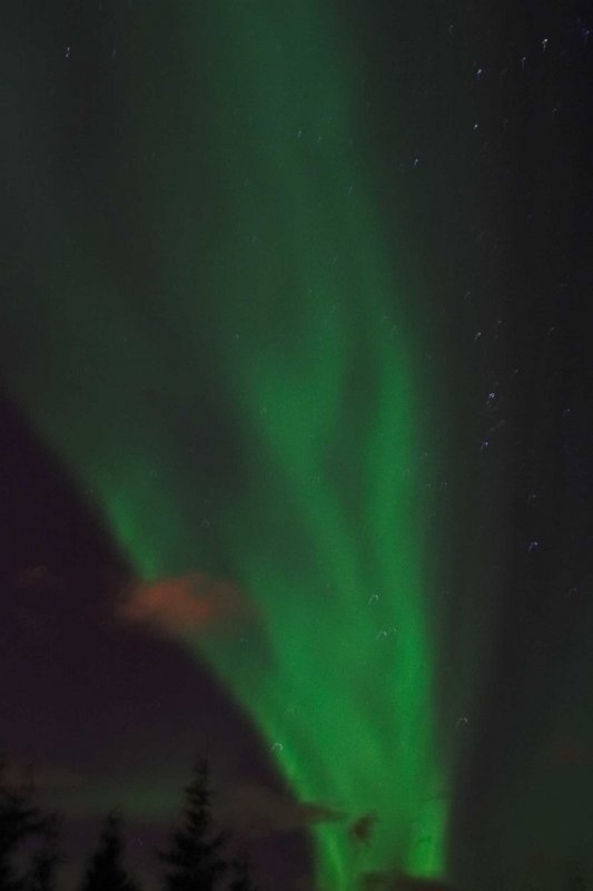 Nothern Lights (#6882)