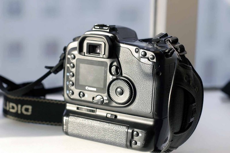 Canon 10D back