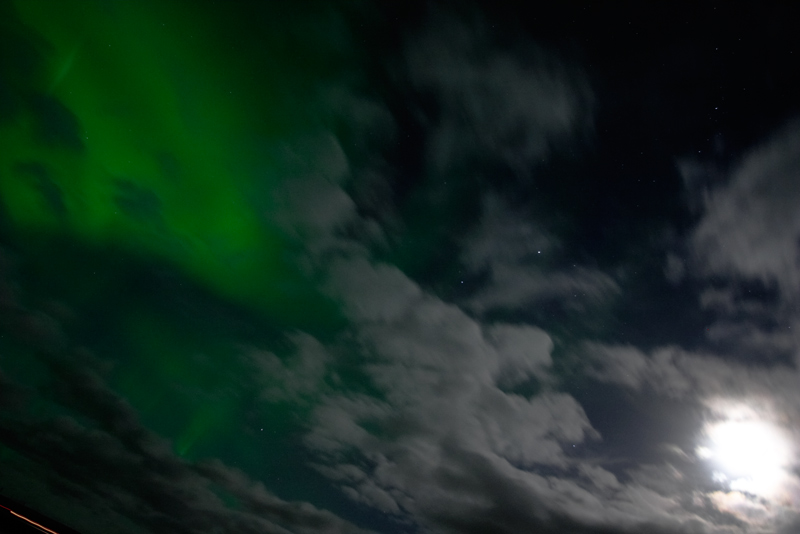 Northern Lights (#8815)
