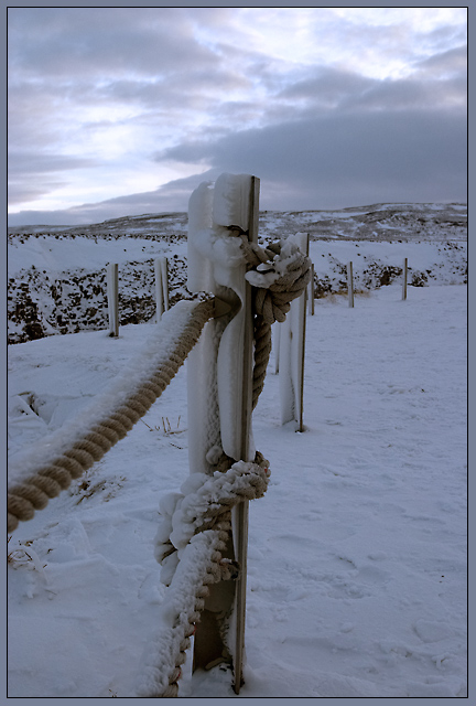 Frozen Post (#9600)