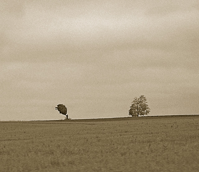 Fall Desolation