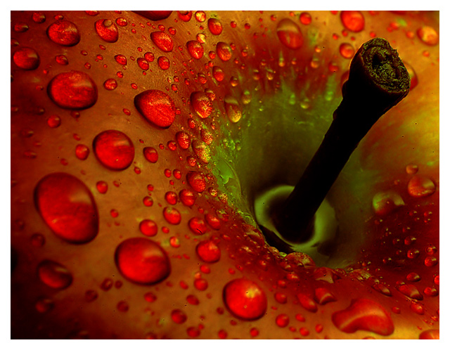 Apple Drops