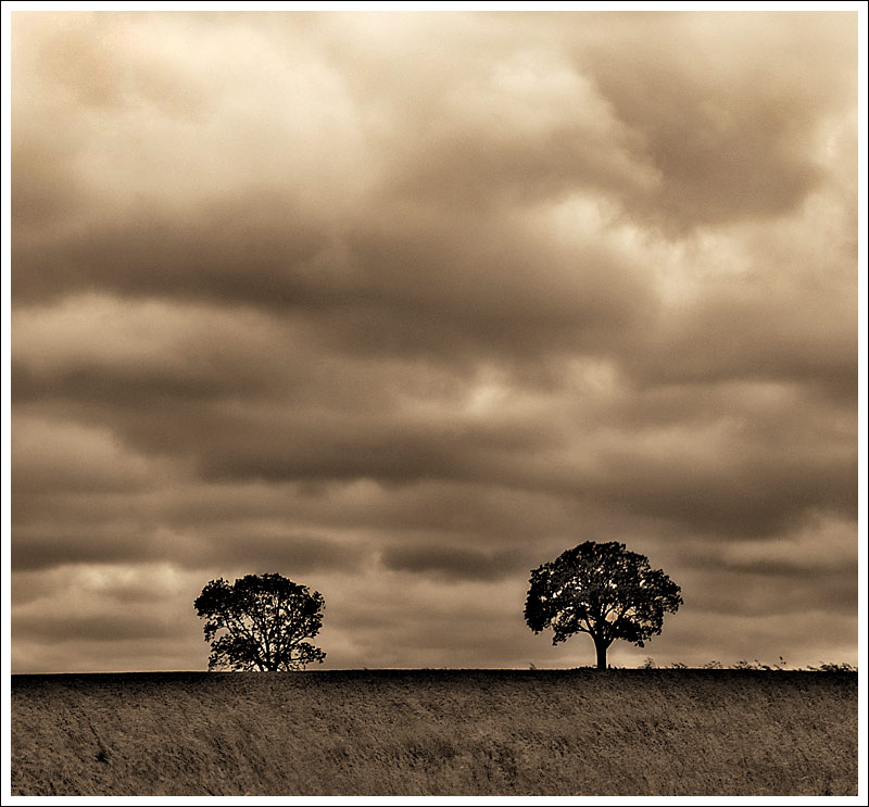 A Desolate View