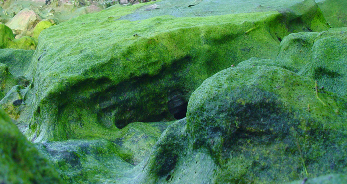 emerald end