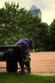 Bench Sleeper