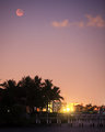 IMG_6707b.jpg