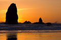 South Needle Silhouette