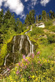 Vidae Falls