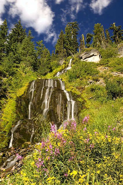 Vidae Falls