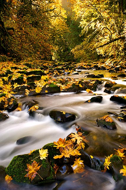 Cedar_Creek_Fall_Color.jpg