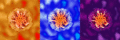 flower-triptych.gif
