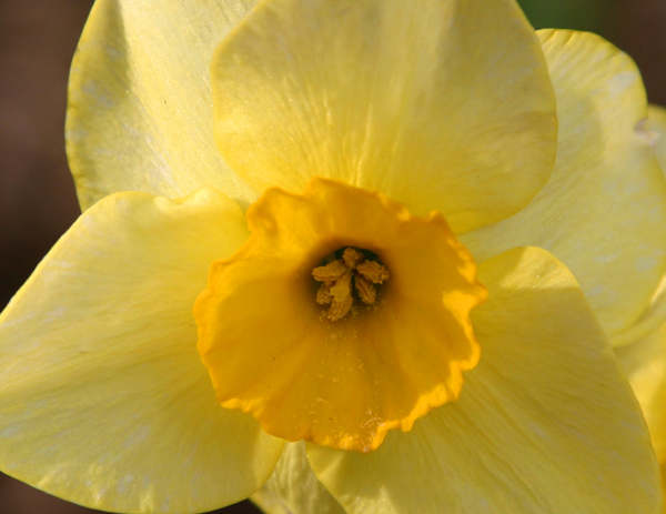 IMG_8479possible.jpg