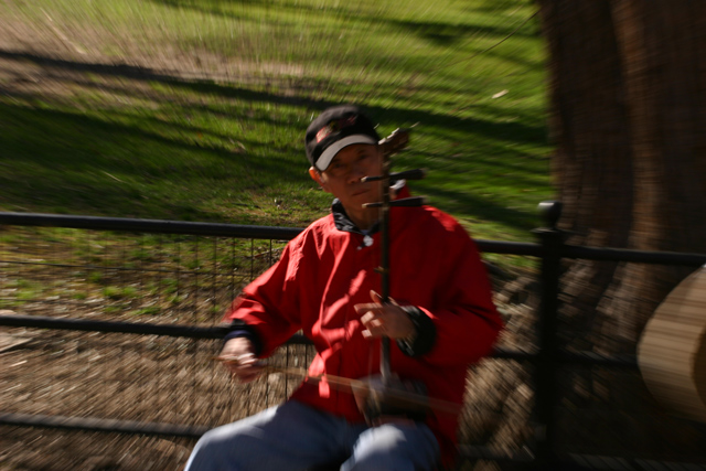 IMG_2473web.jpg
