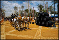 Feria del Caballo