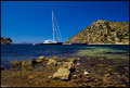 Harbor