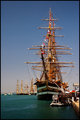 Amerigo Vespucci