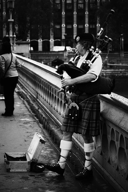 Piper