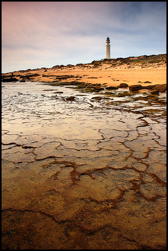 Cape Trafalgar