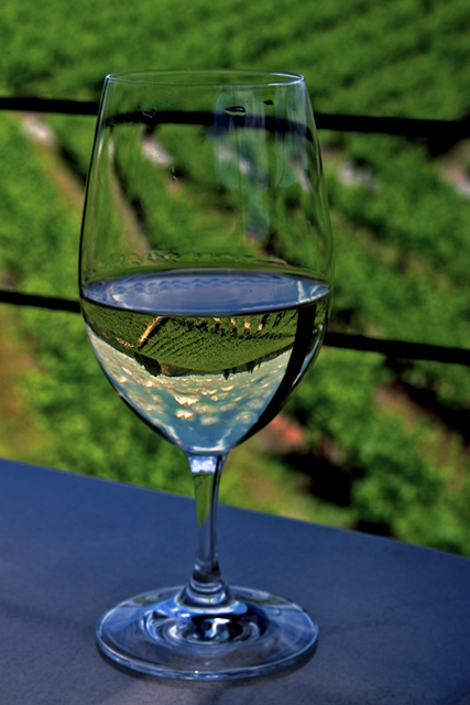 WineReflect_5092.jpg