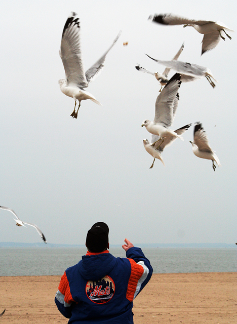 Birdman_IMG_0473S.jpg