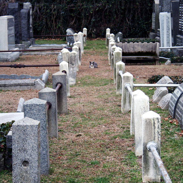 Pet_Cemetery_IMG_0299S.jpg