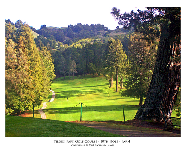 Golf Paradise in Berkeley