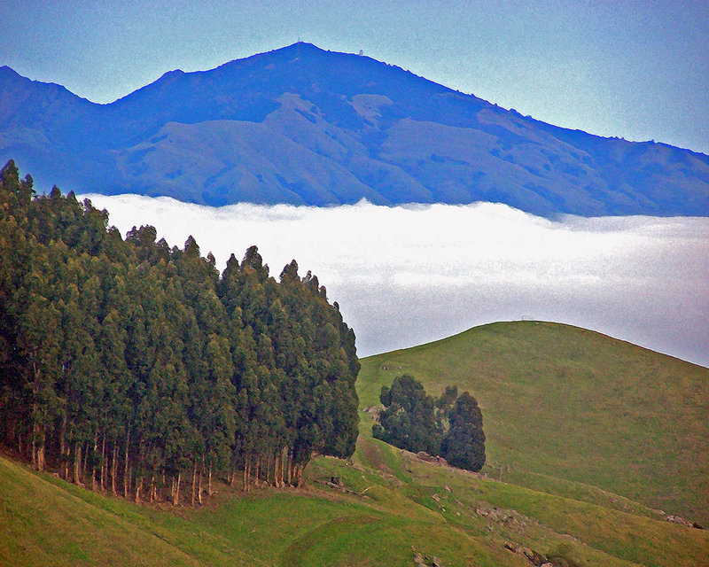 Fog Bank Below Mount Diablo