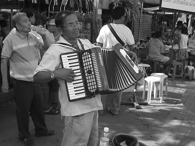 Accordion Player