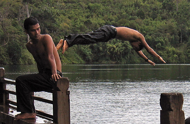 Dive In Lake