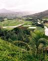 Hanalei Valley Kauai 2