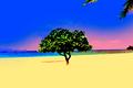 Beach Tree Art Poster