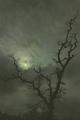 Eerie Skies