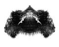 Bison Art Print