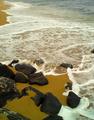 Sea Foam Kauai