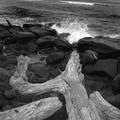 Kauai Beach Black and White