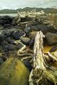DriftWood Ropes Kauai 2