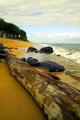 Kauai Beach X