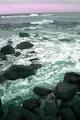 Kauai Beach XI