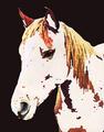 Horse Digital Art Print