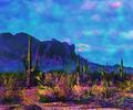 Desert Colors