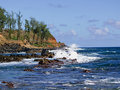 Kauai Surf