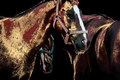 Horse Art