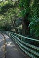 Bridge Lagunitas