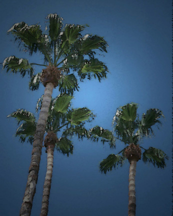 Three Palms