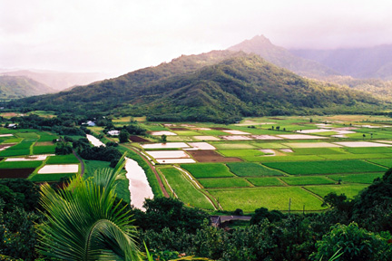 Hanalei Valley Kauai